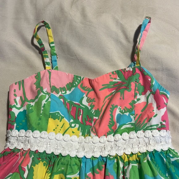 Colorful Lilly - Picture 3 of 6